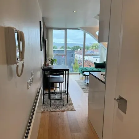 Skyline View Flat With Parking شقة بريستول